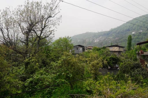 زمین با سند تکبرگ شمال رامسر  2