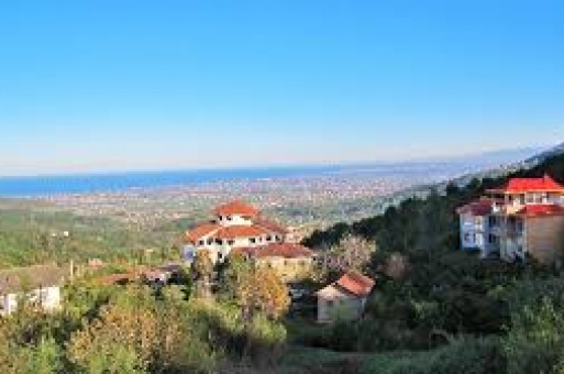 زمین رامسر مازندران 1