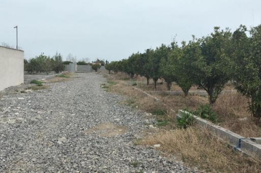 خرید زمین ویلایی در بابلسر