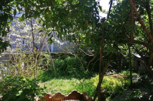 خرید خانه ویلایی در نوشهر جنگلی