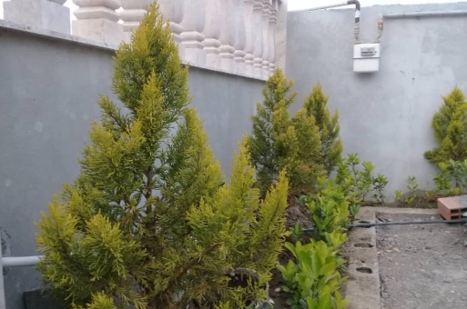 فروش ویلا قیمت مناسب در سرخرود 2