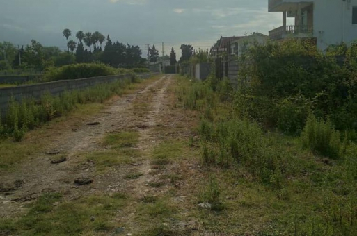 زمین جنگلی شهرکی نوشهر رویان  1