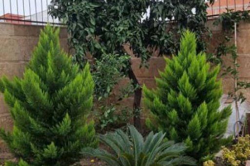 ویلای فروشی در سرخرود دوبلکس  1