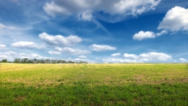 آشنایی با خرید زمین در شمال